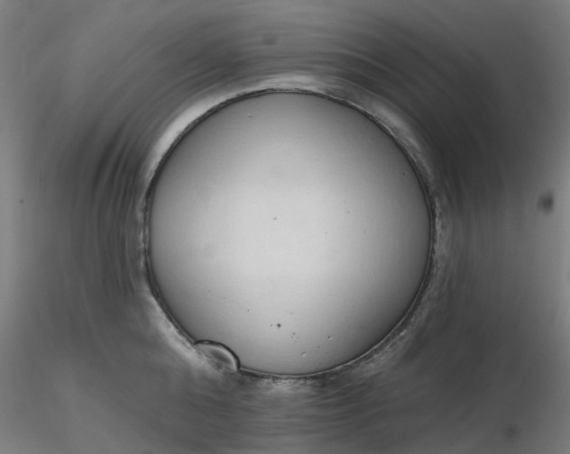 X0000116510808200912231232