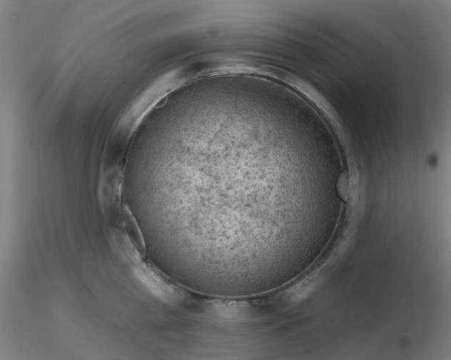 X0000116510809200912231232