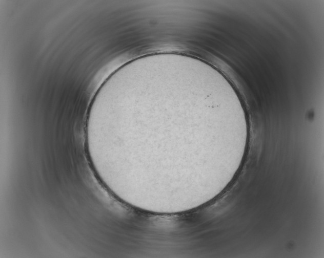 X0000116510810200912231232