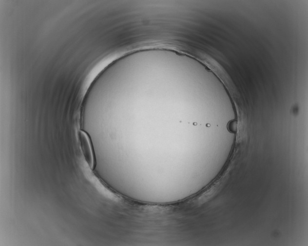 X0000116510812200912231232