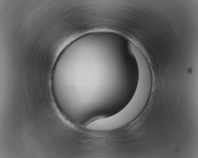 X0000116510813200912231232