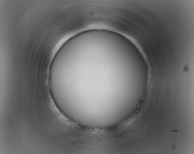 X0000116510815200912231232