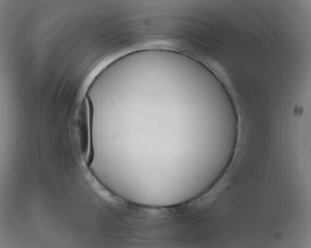 X0000116510816200912231232