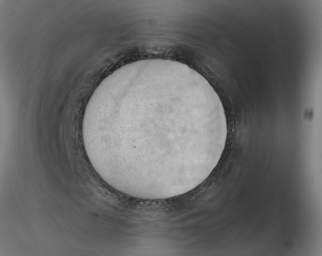 X0000116510817200912231231