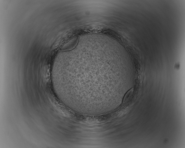 X0000116510818200912231231