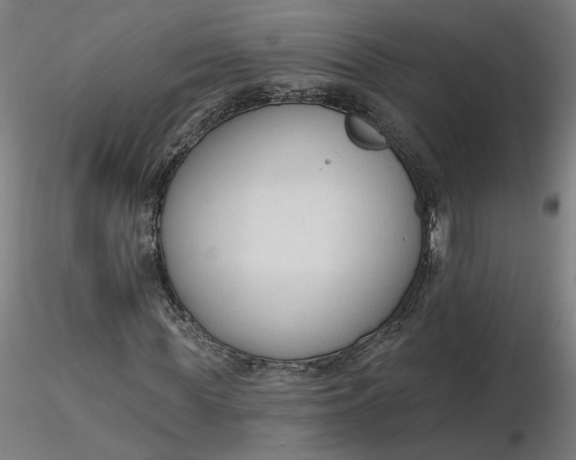 X0000116510819200912231231