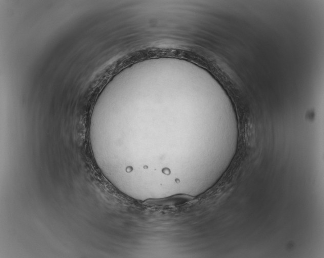 X0000116510821200912231231