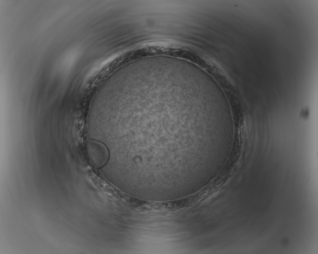 X0000116510822200912231231