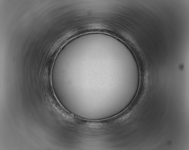 X0000116510825200912231231