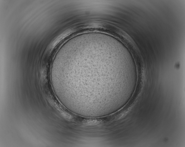 X0000116510826200912231231