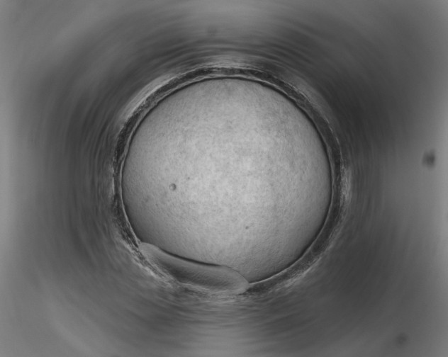 X0000116510829200912231231