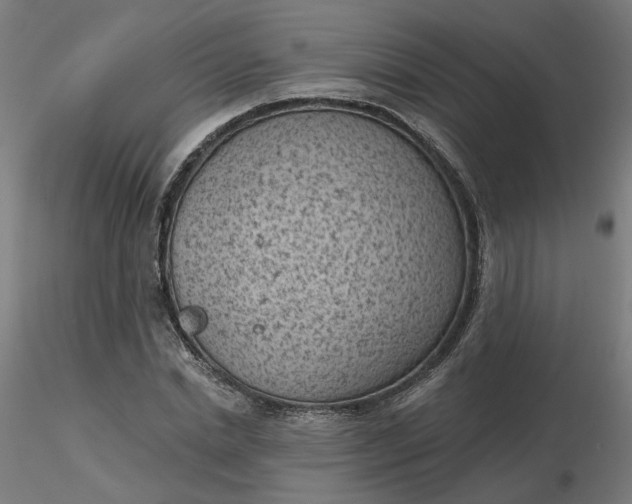 X0000116510830200912231231