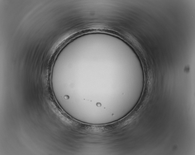 X0000116510831200912231231