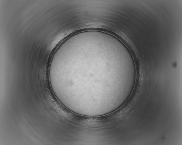 X0000116510834200912231231