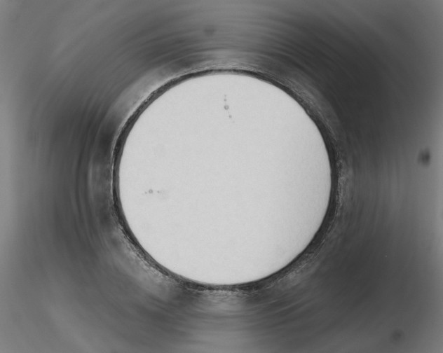 X0000116510836200912231231