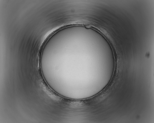 X0000116510838200912231231