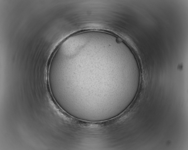 X0000116510839200912231232