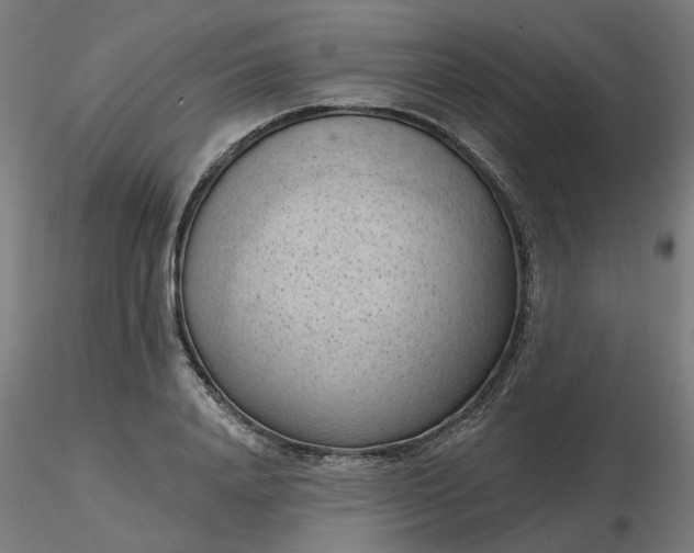 X0000116510840200912231232