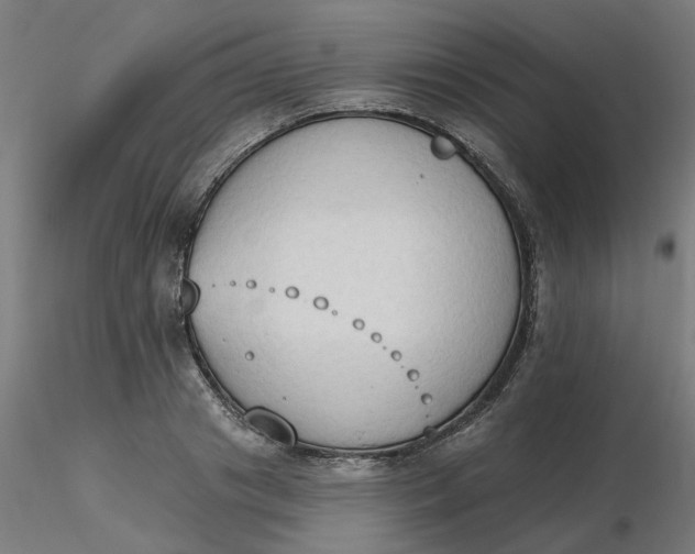 X0000116510841200912231232