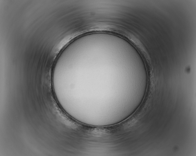 X0000116510842200912231232