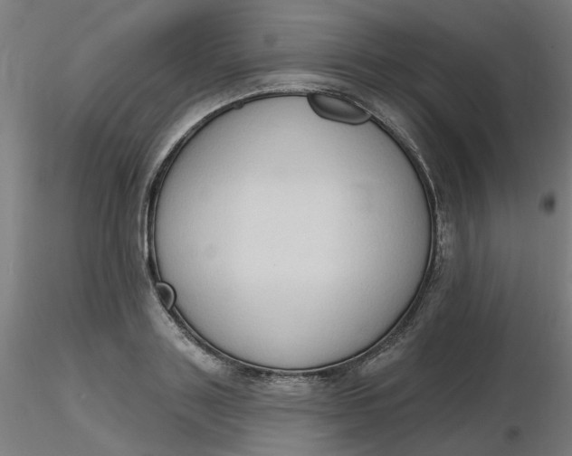 X0000116510843200912231232