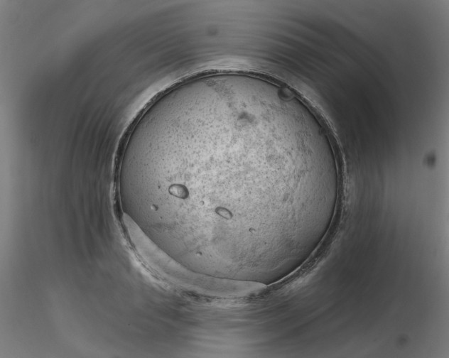 X0000116510845200912231232