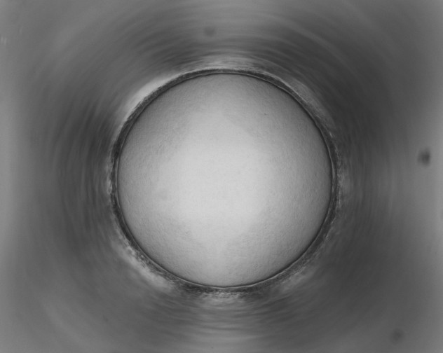 X0000116510846200912231232