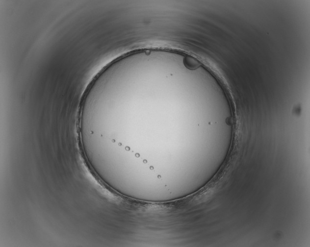 X0000116510847200912231232