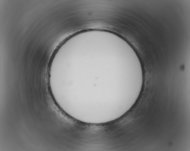 X0000116510848200912231232