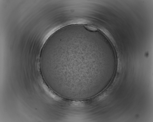 X0000116510850200912231232