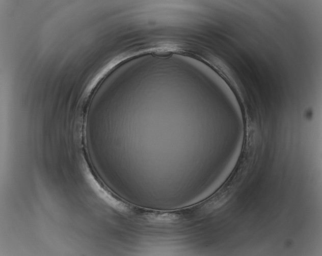 X0000116510851200912231232