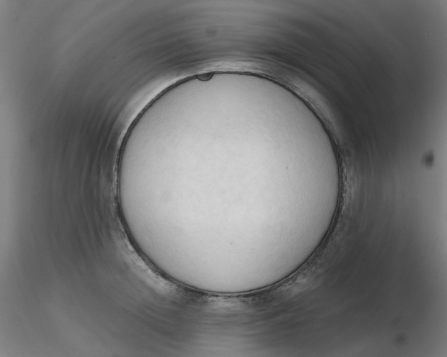 X0000116510852200912231232