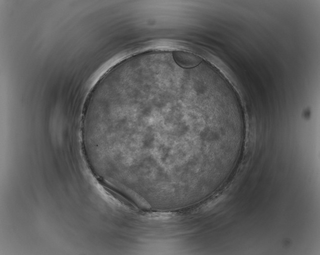 X0000116510853200912231232