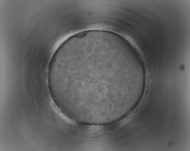 X0000116510854200912231232