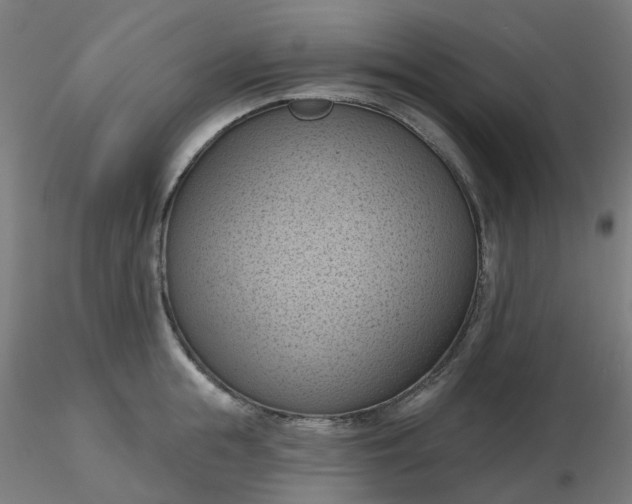 X0000116510855200912231232