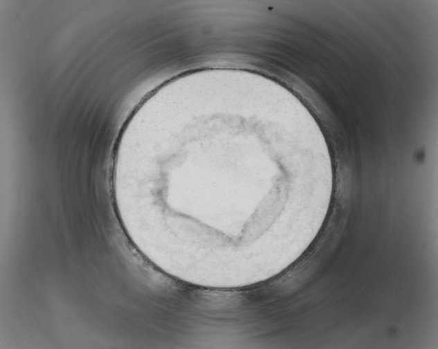 X0000116510856200912231232