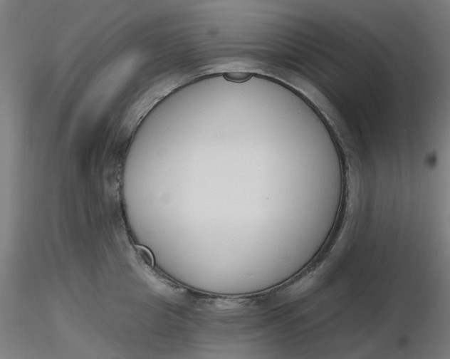 X0000116510857200912231232