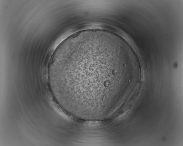 X0000116510858200912231232