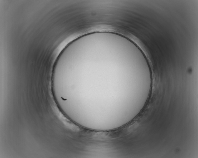 X0000116510861200912231232