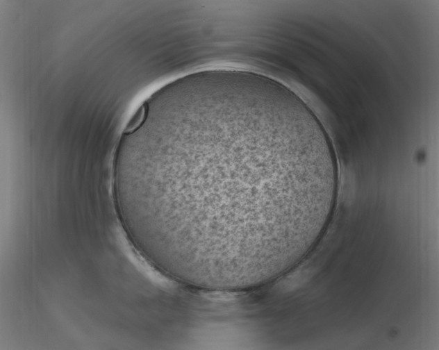 X0000116510862200912231232