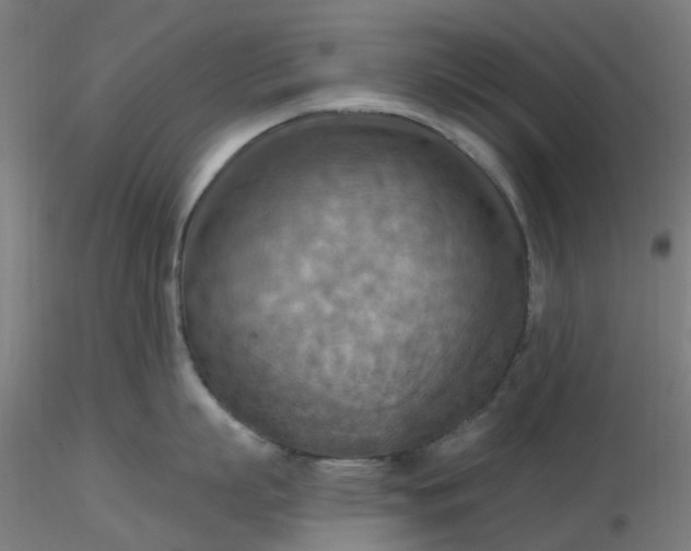 X0000116510863200912231232