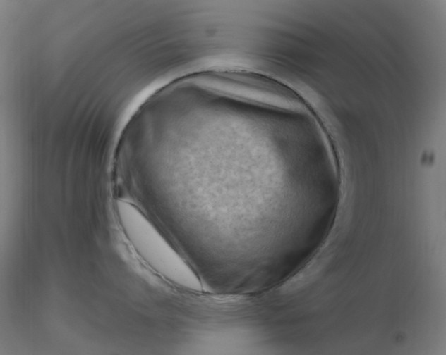 X0000116510864200912231232