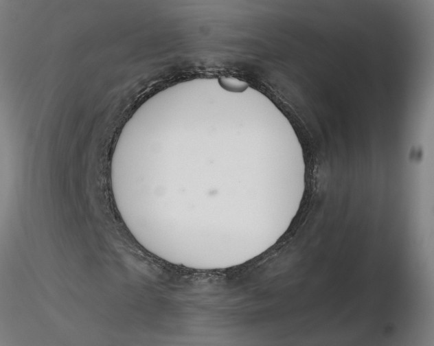 X0000116510865200912231231