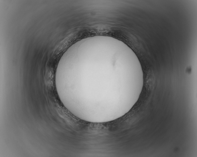 X0000116510866200912231231