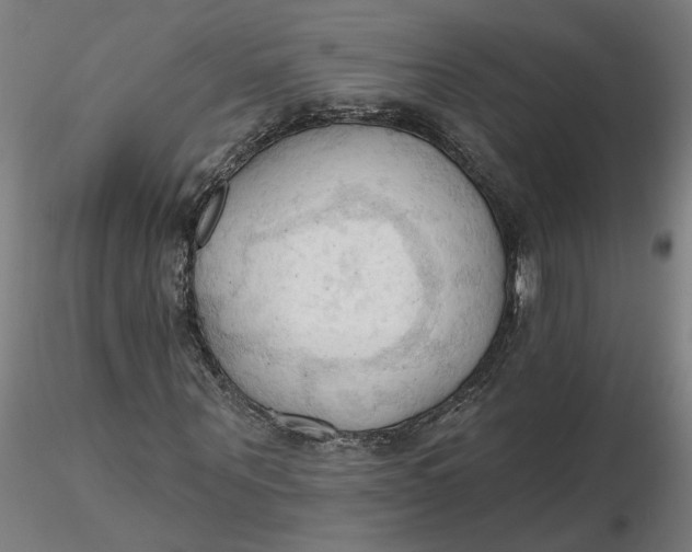 X0000116510867200912231231