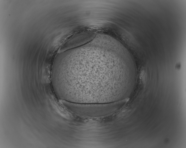 X0000116510868200912231231