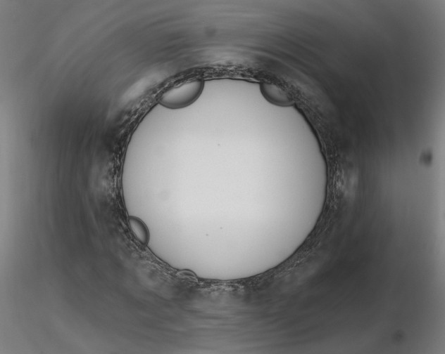 X0000116510869200912231231