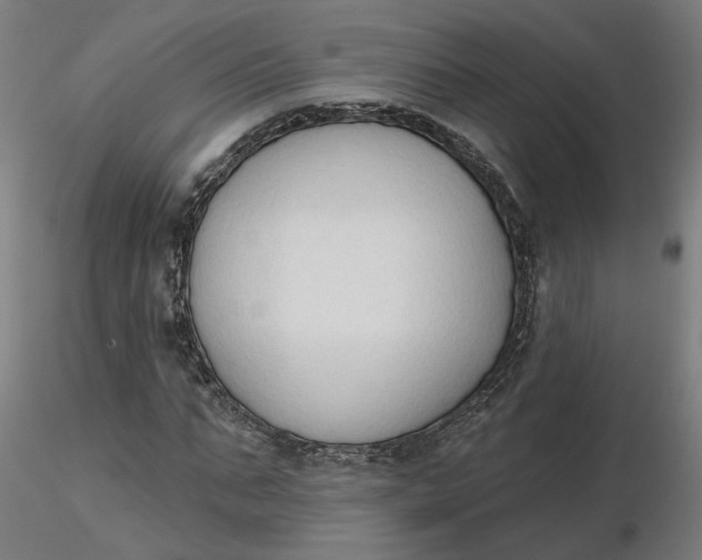 X0000116510871200912231231