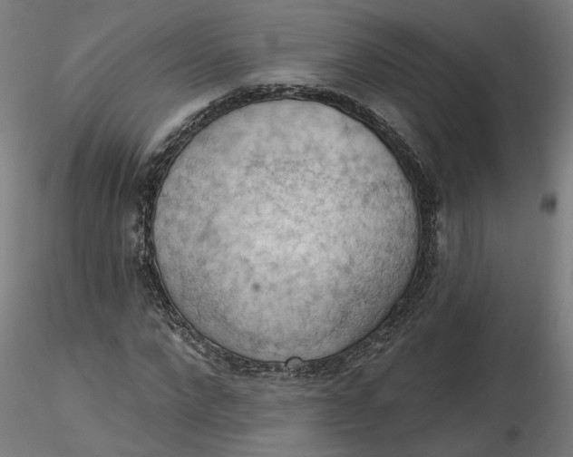 X0000116510872200912231231