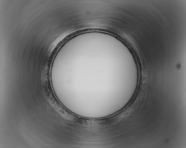 X0000116510875200912231231